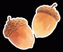 <b>玩转洱海“终极攻略 ”</b>